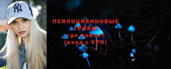 соль ск Богородицк