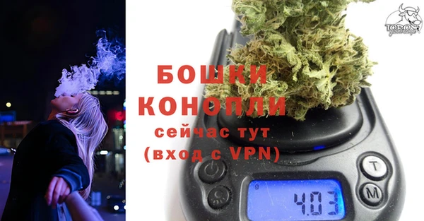 соль ск Богородицк