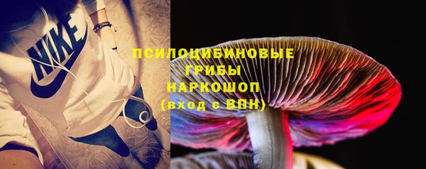 марки lsd Белокуриха