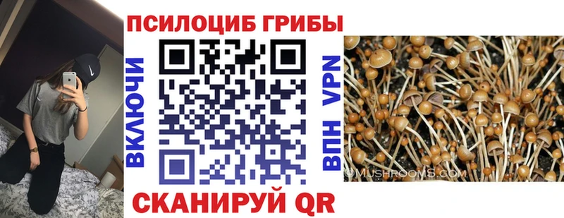Галлюциногенные грибы Cubensis  OMG   Большой Камень 